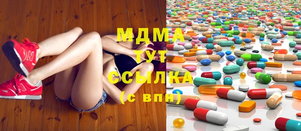spice Богородск