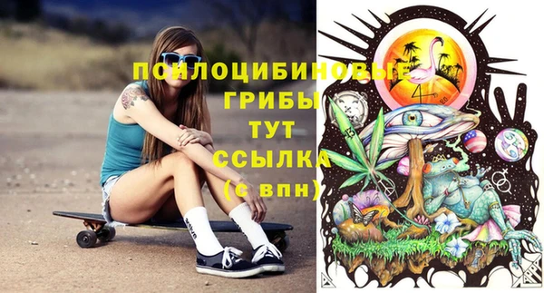 тгк Богородицк