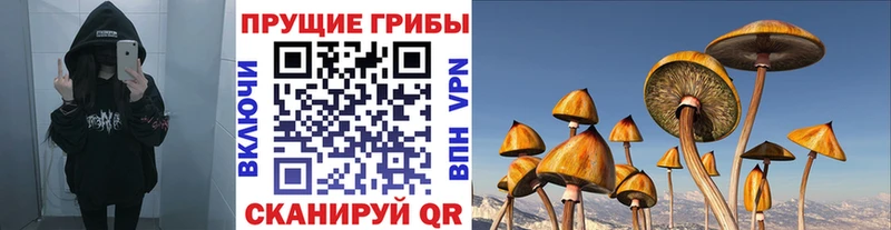 omg ССЫЛКА  Дзержинский  Псилоцибиновые грибы ЛСД  где можно купить  